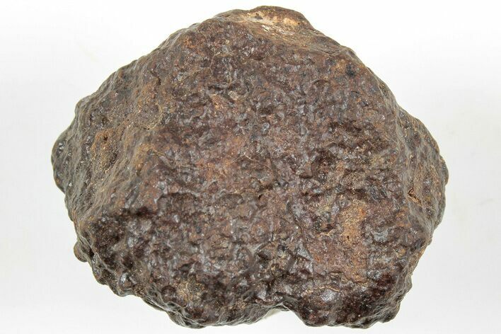 Chondrite Meteorite ( g) - Western Sahara Desert #233199